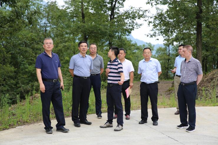 中國能建總經理、黨委副書記孫洪水一行赴陜西鎮(zhèn)巴縣調研定點扶貧工作