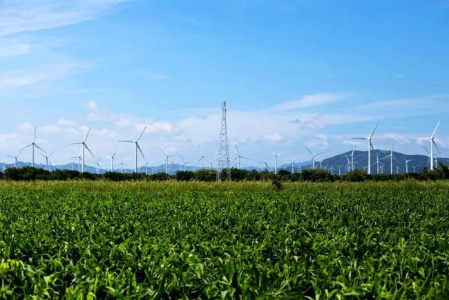 收購墨西哥818MW光伏電站，國家電投境外光伏電站裝機(jī)超6GW