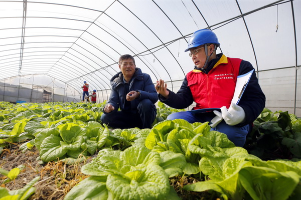 浙江寧波供電公司： 寒冬里，“電管家”守好百姓“菜籃子”