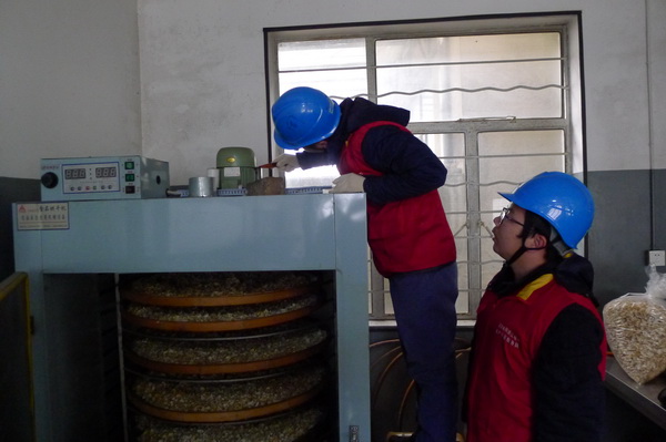 國(guó)網(wǎng)寧海縣供電公司：電力紅馬甲服務(wù)鄉(xiāng)村企業(yè) ，讓黃精變“黃金”