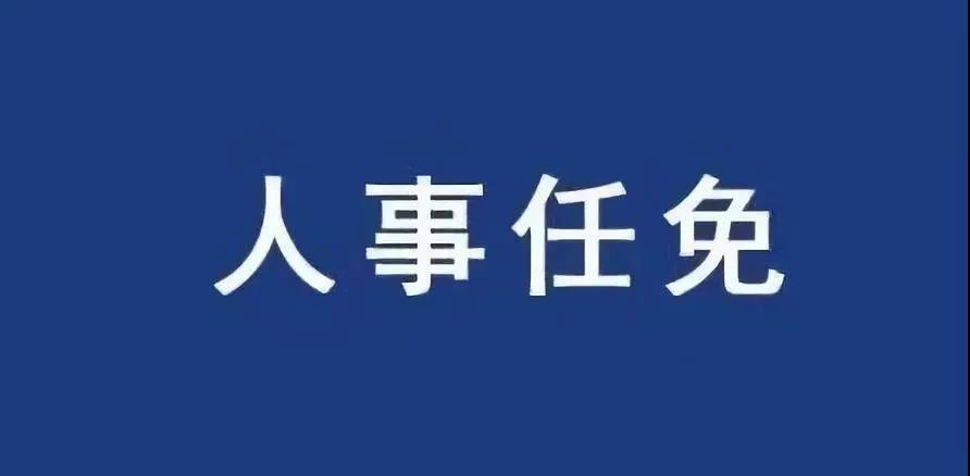 重磅！張智剛任國家電網總經理、黨組副書記，韓君出任三峽集團總經理