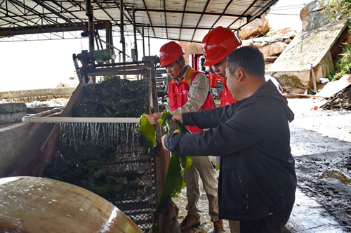 國網(wǎng)霞浦縣供電公司:大力實(shí)施農(nóng)業(yè)領(lǐng)域電能替代 助力養(yǎng)殖企業(yè)降本增效
