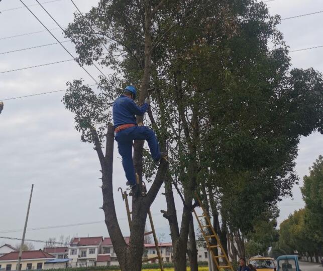 國網(wǎng)城固縣供電公司積極開展春季樹障清理工作，打通線路安全通道  　　中國電力網(wǎng)訊  陽春三月，草長鶯飛，又到了樹竹快速生長的季節(jié)，茂密的樹木包裹10千伏及0.4千伏導(dǎo)線，“線樹”矛盾愈發(fā)嚴(yán)重，此時也正