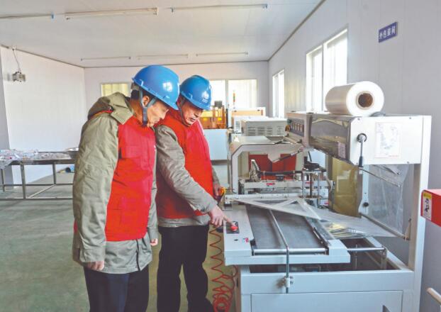 濱海縣供電公司:白首烏產業(yè)發(fā)展充上“滿格電”