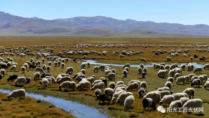 面積接近一個(gè)新加坡！青海塔拉灘光伏電站照亮“陽(yáng)光之路”