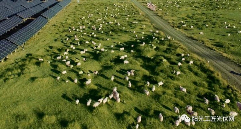 面積接近一個(gè)新加坡！青海塔拉灘光伏電站照亮“陽(yáng)光之路”