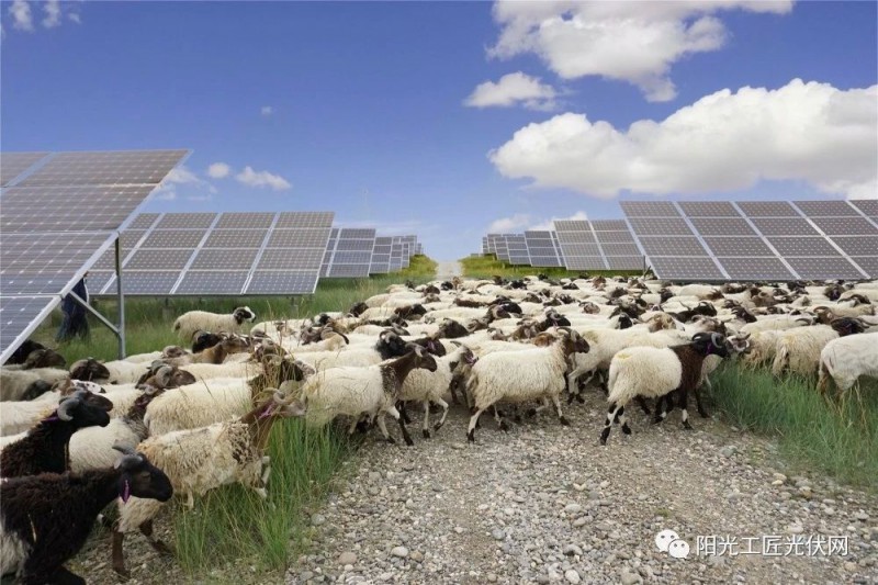 面積接近一個(gè)新加坡！青海塔拉灘光伏電站照亮“陽(yáng)光之路”
