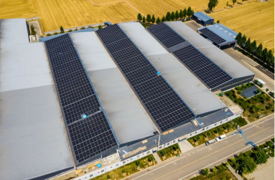分布式光伏助力企業(yè)低碳轉(zhuǎn)型！麥田里的陽光工廠，年均生產(chǎn)108萬度綠電！