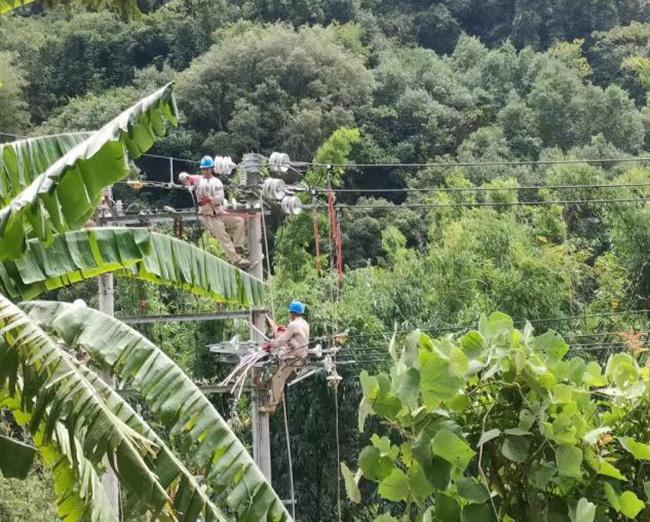 國網永泰縣供電公司全力推進電網建設