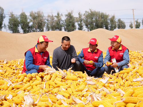 沿著總書記的足跡|千里隴原，絢麗多彩