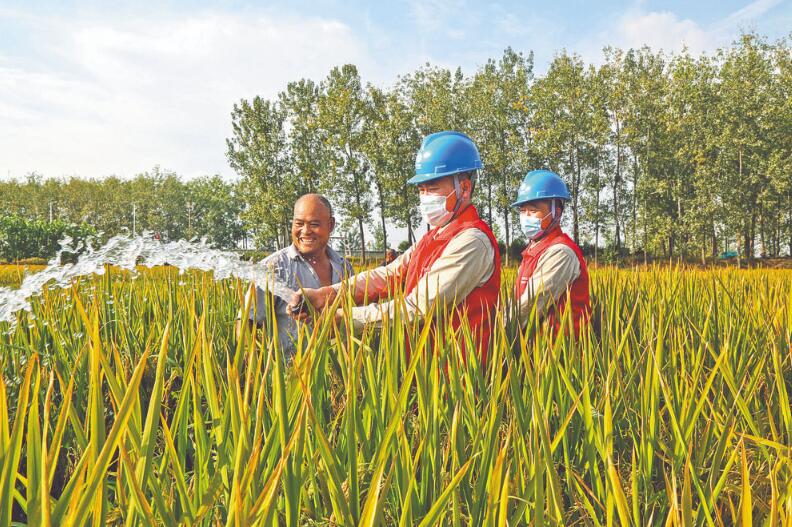 國網(wǎng)江蘇省電力有限公司:做實“黨建+”工程 推動高質(zhì)量發(fā)展