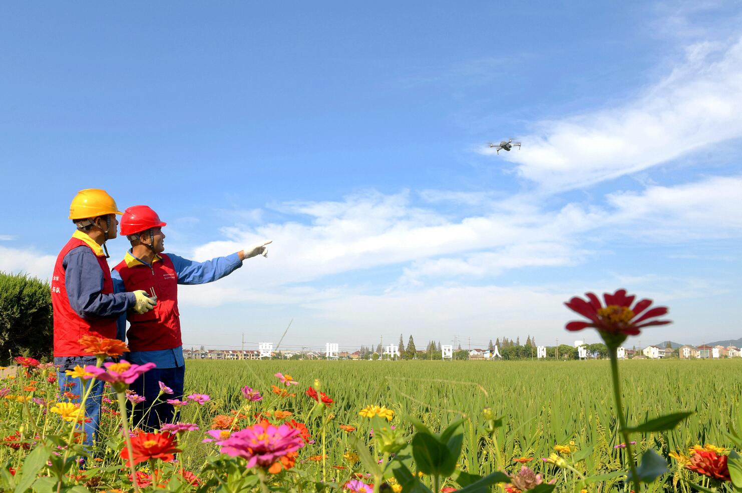 國網(wǎng)余姚市供電公司:保電金十月 秋收好“豐景”