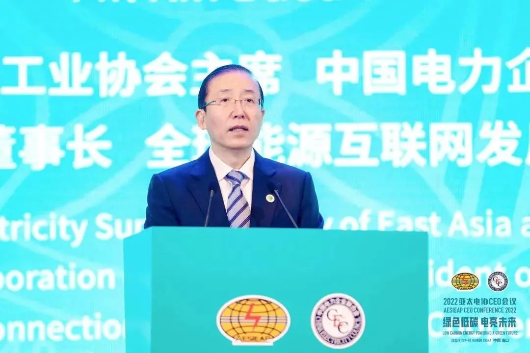 辛保安:構(gòu)建綠色低碳國際能源合作新格局