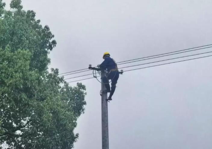 國網湘潭供電公司:黨員服務進田間 糧田春灌“電力足”