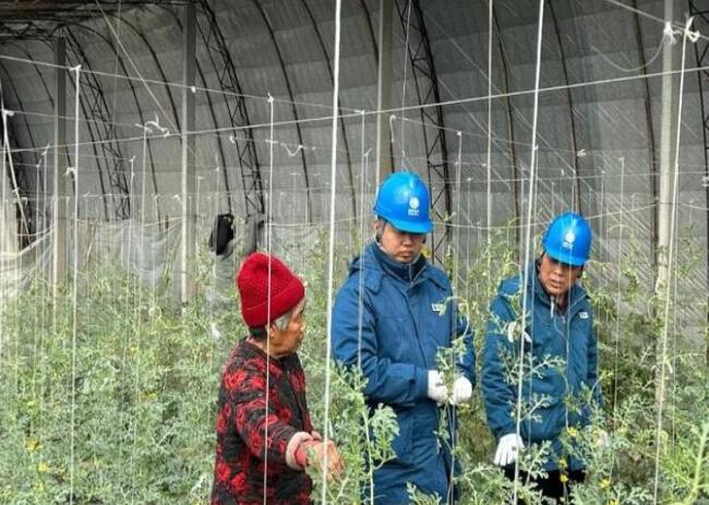 山東惠民供電公司：走訪種植大棚，優(yōu)化農(nóng)業(yè)營(yíng)商環(huán)境