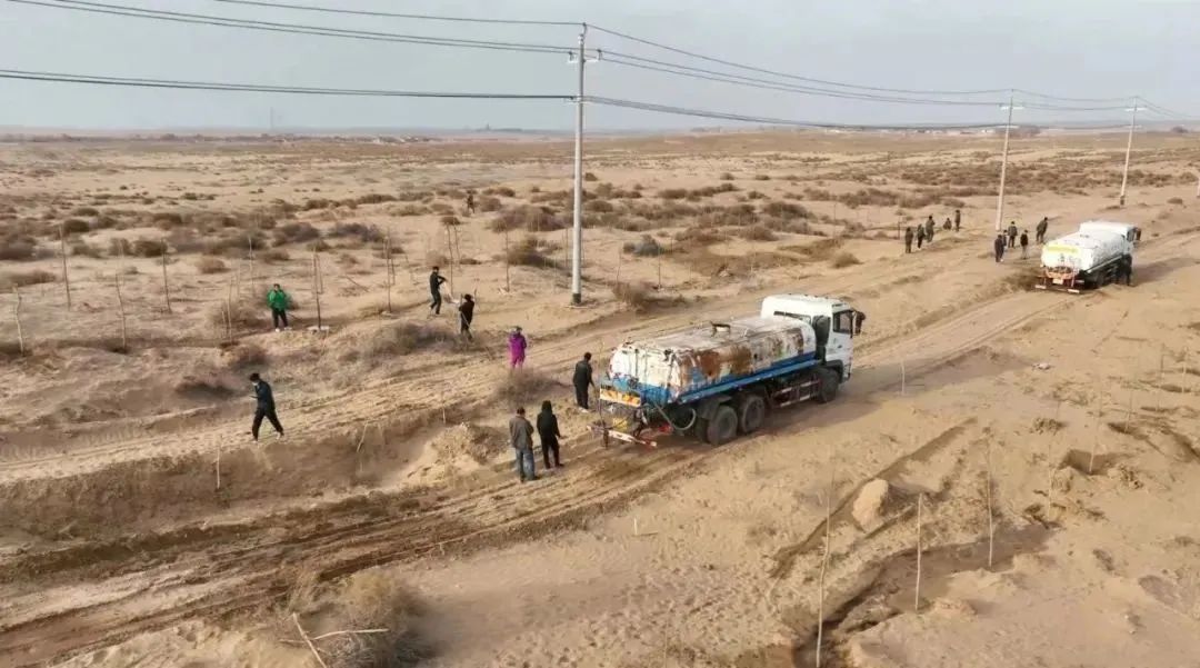 “林場主跪地求水”事件,最新通報來了!