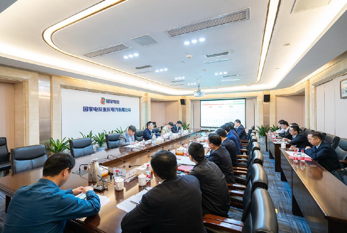 徐樹彪到重慶公司、遠(yuǎn)達(dá)環(huán)保調(diào)研