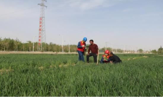 新疆皮山縣供電公司:電力有保障 服務(wù)到田間