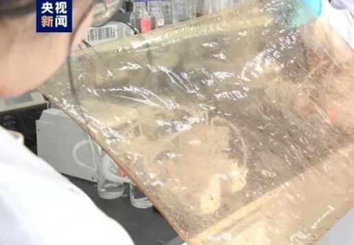 國產(chǎn)新型離子膜問世，有望在新能源的儲能領(lǐng)域廣泛應(yīng)用