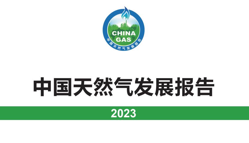 中國(guó)天然氣發(fā)展報(bào)告（2023）