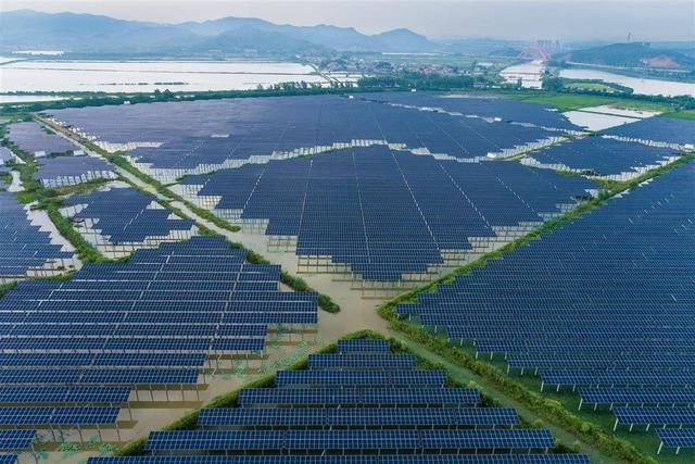 水上發(fā)電，水下養(yǎng)魚!黃石“漁光互補(bǔ)”綠色興農(nóng)