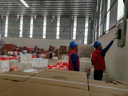 國網(wǎng)會(huì)理市供電公司:石榴分揀銷售忙 供電服務(wù)來保障