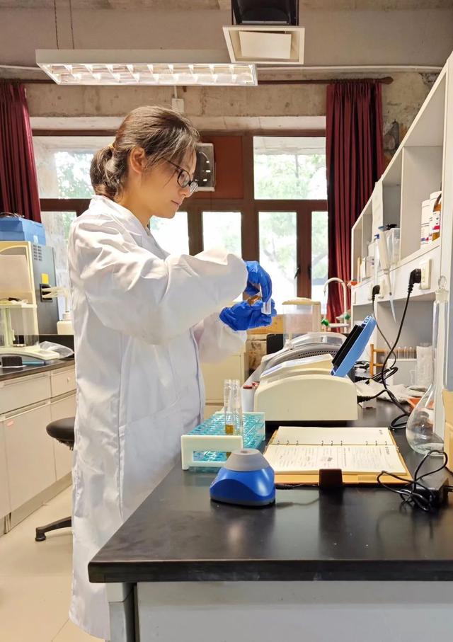 寶山這位博士后探索“氫轉(zhuǎn)甲烷”科創(chuàng)路徑,推動清潔能源制氫