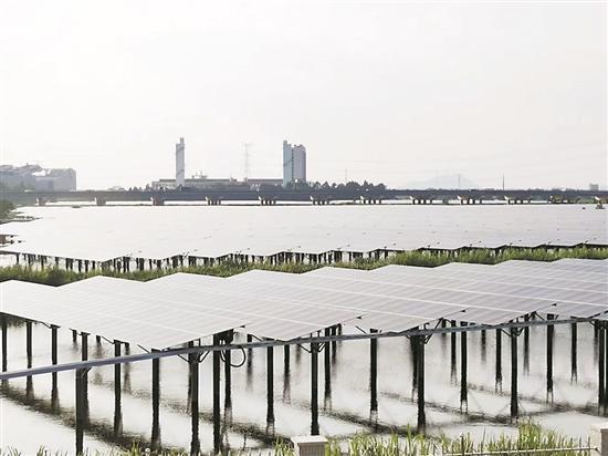 汕頭金平區(qū)88兆瓦集中式漁光互補(bǔ)項(xiàng)目計(jì)劃10月并網(wǎng)投產(chǎn)，年發(fā)電量可達(dá)1.2億度