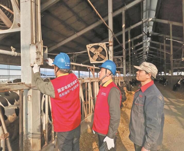 河南蘭考縣:義務(wù)為養(yǎng)牛場(chǎng)解決用電問(wèn)題