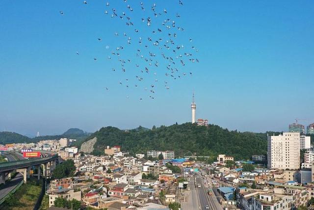 日“吞”垃圾500噸，年“吐”電能超億度!清鎮(zhèn)市首個生活垃圾焚燒發(fā)電項目并網(wǎng)發(fā)電