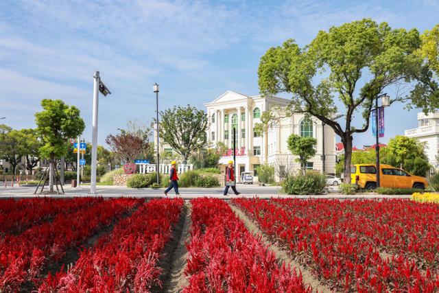 “電靚”和美鄉(xiāng)村，過去20年，杭州電力做了什么