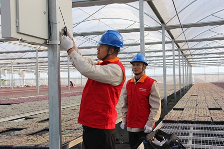 國網(wǎng)江蘇電力睢寧縣供電公司:為鄉(xiāng)村種植產業(yè)發(fā)展注入“電動力”