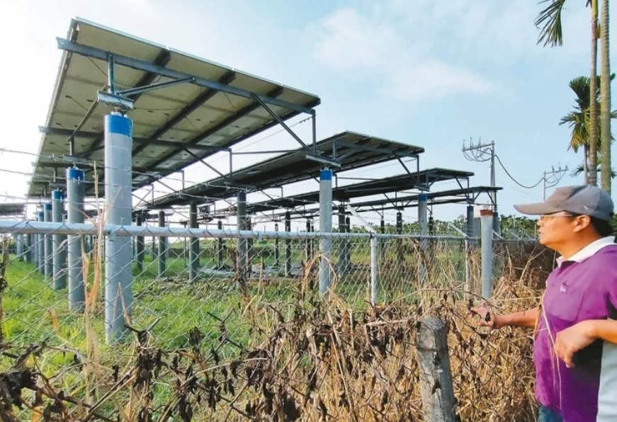 臺媒：農(nóng)田“種電”讓農(nóng)民苦不堪言，島內(nèi)面臨農(nóng)電兩失困境