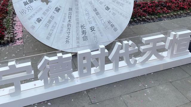 寧德時代：儲能價格競爭并非長久，質(zhì)量提升是關鍵