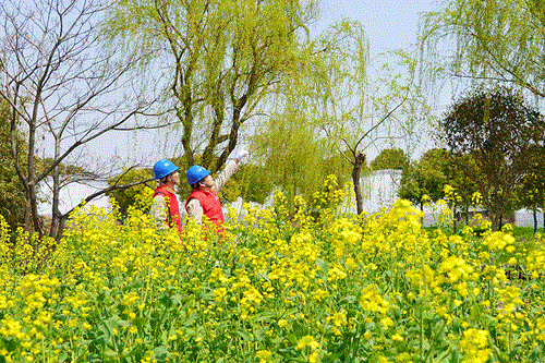國網(wǎng)太倉市供電公司：電力賦能農(nóng)文旅，五一出游“零碳”行