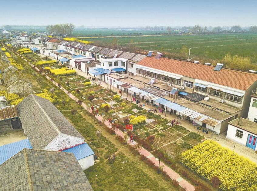 江蘇淮安大鸞共產(chǎn)黨員服務(wù)隊(duì):提質(zhì)鄉(xiāng)村服務(wù) 心系萬家光明