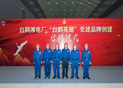 三峽集團一個集體、三名個人榮獲中央企業(yè)“兩優(yōu)一先”表彰