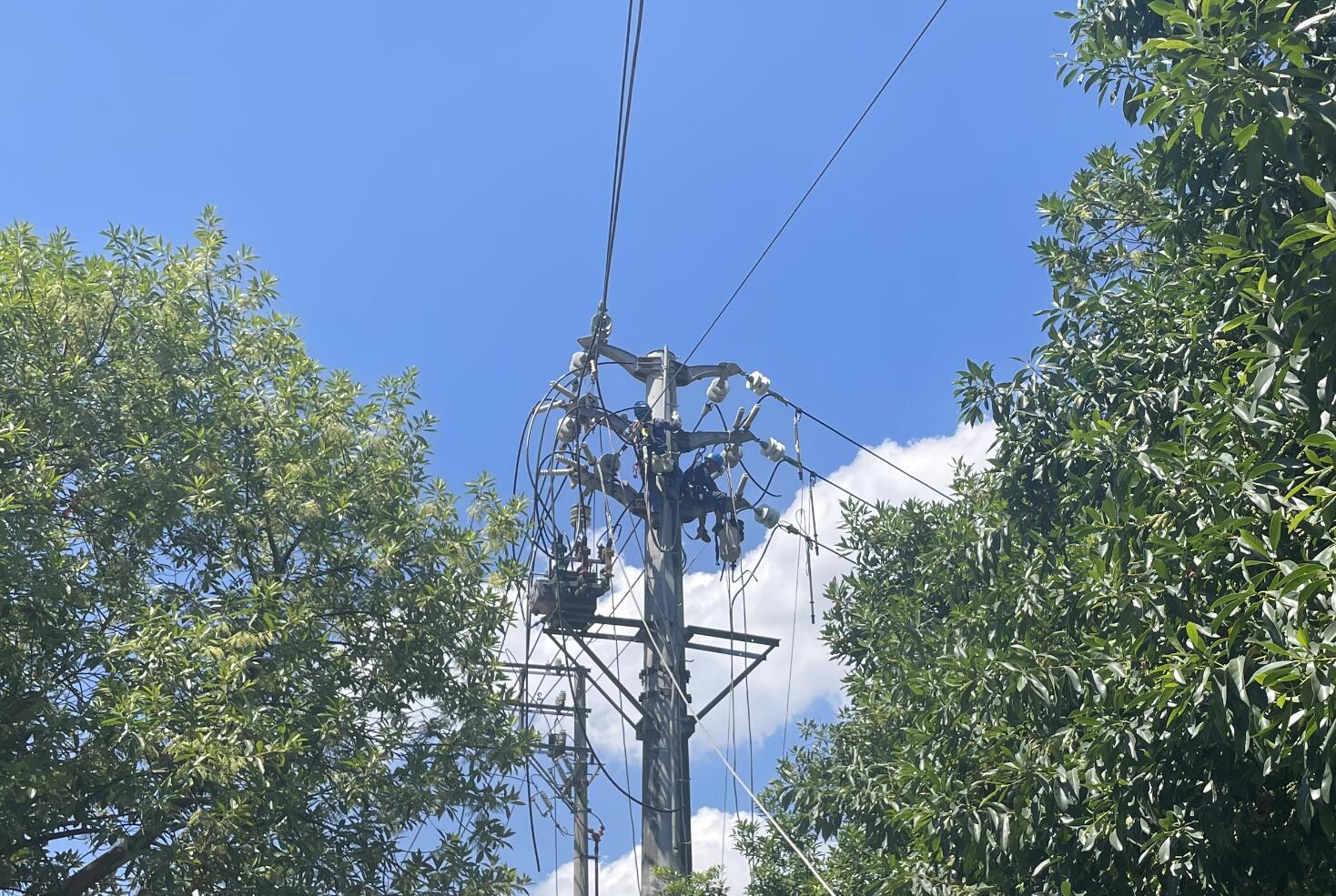 國網(wǎng)余姚市供電公司:線路升級改造迎戰(zhàn)夏季“烤”驗