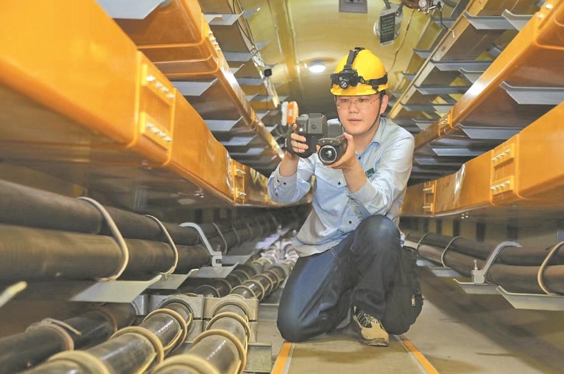 董力文：向下扎根，向上生長(zhǎng)