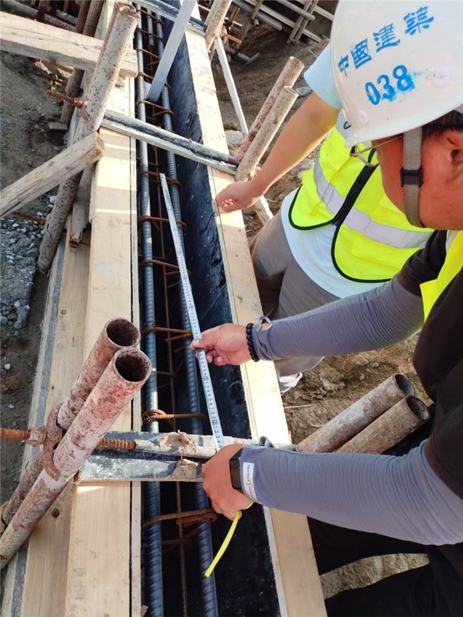 黨員先鋒展風(fēng)采，鑄就工程新樣板