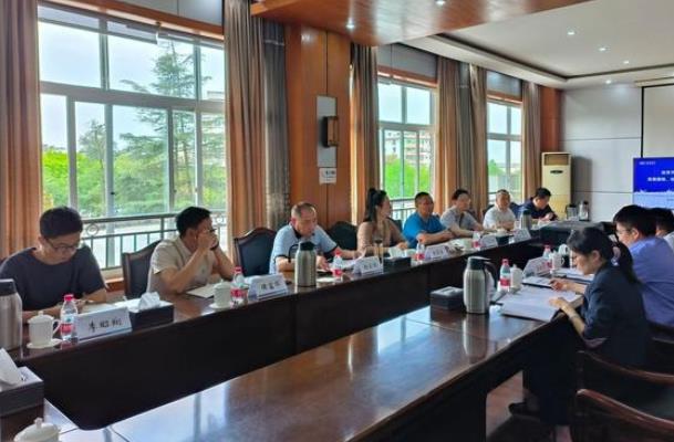 “氫”裝上陣，自貢市加快推動氫能全產(chǎn)業(yè)鏈發(fā)展