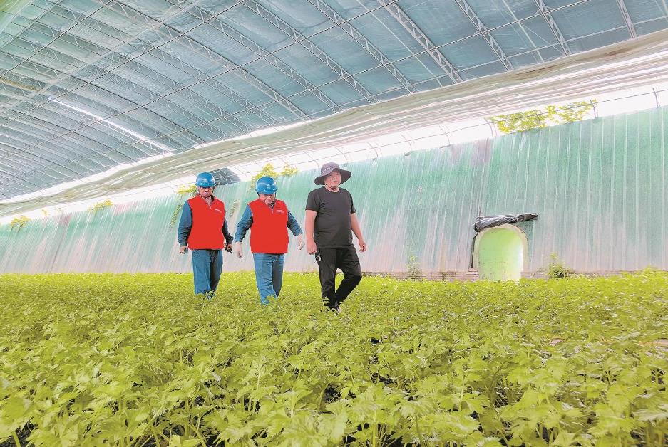 寧夏賀蘭縣：賀蘭山下，稻香魚(yú)肥