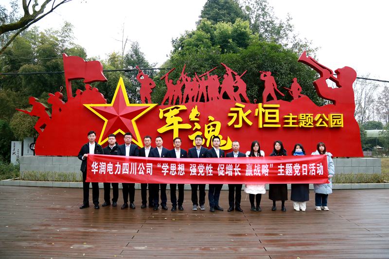 華潤電力四川公司聯(lián)合華潤集團(tuán)在川企業(yè)開展“學(xué)思想、強黨性、促增長、贏戰(zhàn)略”主題黨日活動