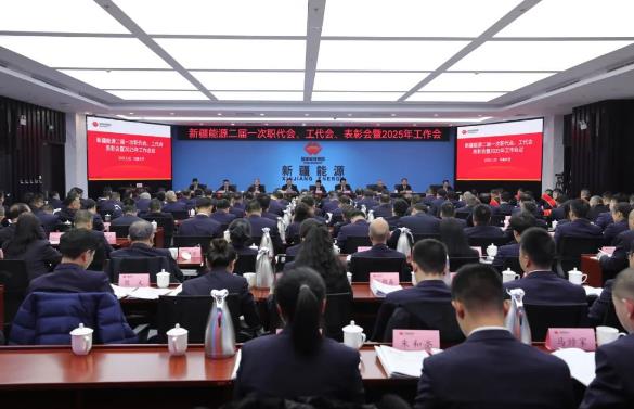 國能新疆能源召開二屆一次職代會、工代會、表彰會暨2025年工作會