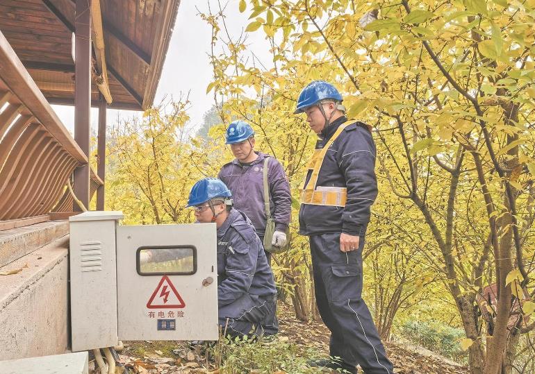 重慶北碚:蠟梅朵朵開 幸福生活來