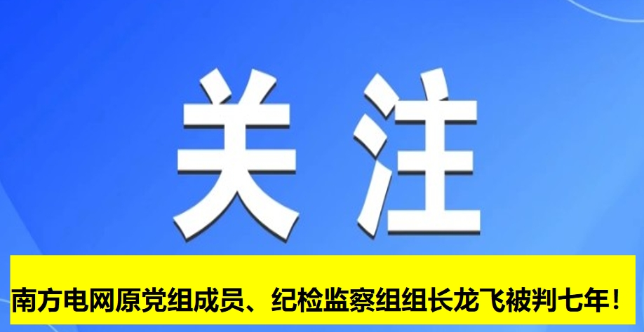 南方電網(wǎng)原黨組成員、紀(jì)檢監(jiān)察組組長(zhǎng)龍飛被判